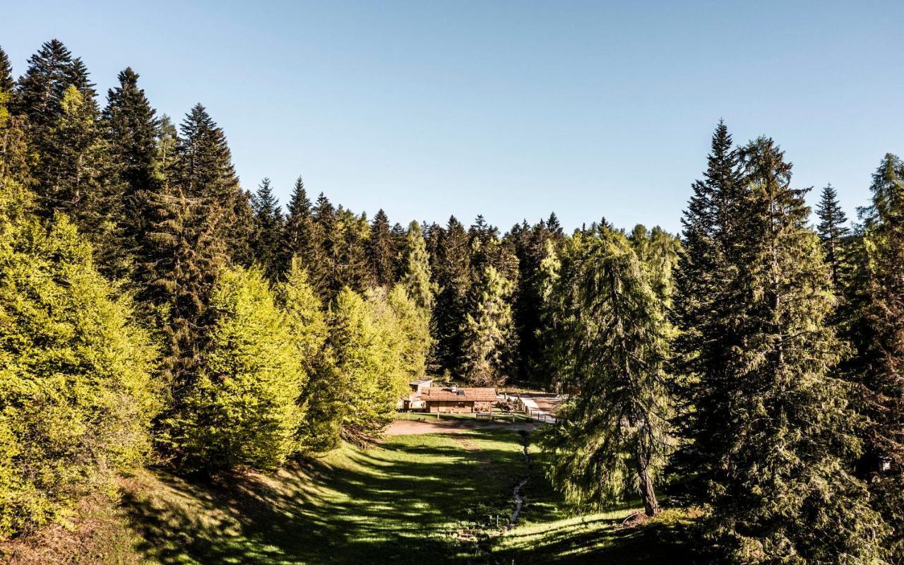 Vila La Mendola Alm Chalet Exteriér fotografie